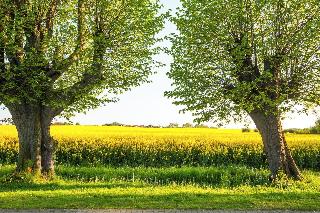 Schlossgut Gross Schwansee fotoÄŸrafÄ±