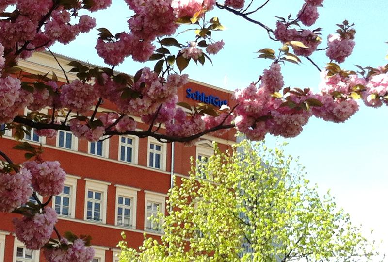 SchlafGut AppartementHotel - Genel