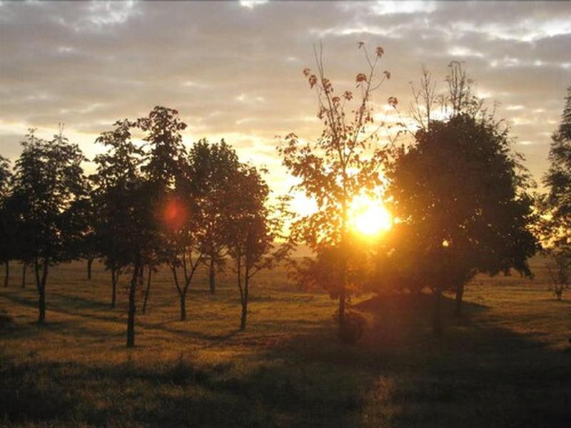 Schöne Aussicht - Aktivite