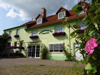 Land-gut-Hotel Schenkenberger Hof otel fotoğrafı