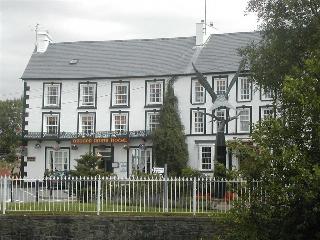 Neuadd Arms otel fotoğrafı