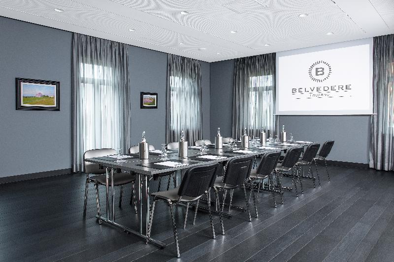 Hotel Belvedere Locarno - Toplantı