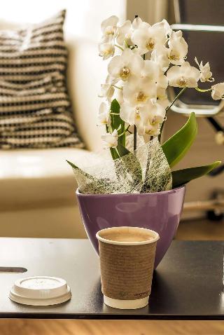 The B&B Belgravia fotoÄŸrafÄ±