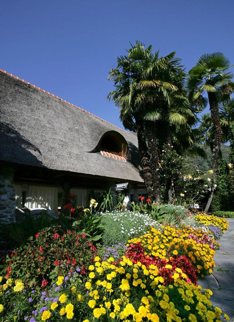 Albergo Losone - Teras