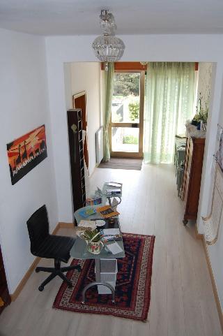 Stella Alpina fotoÄŸrafÄ±