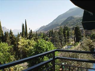 Stella Alpina fotoÄŸrafÄ±