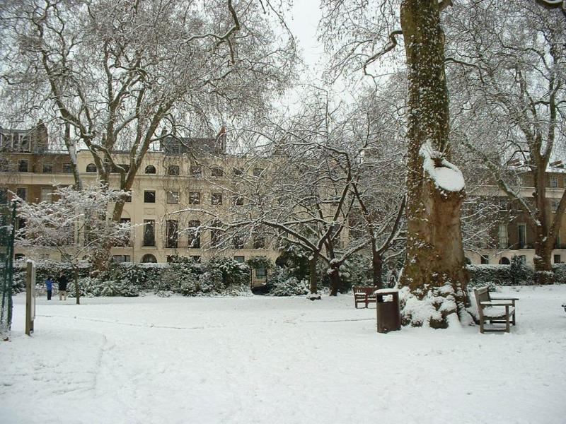 The Goodenough Hotel London - Genel