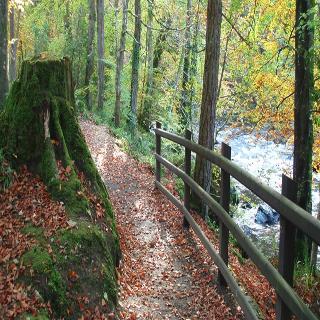 Roe Valley Resort fotoÄŸrafÄ±
