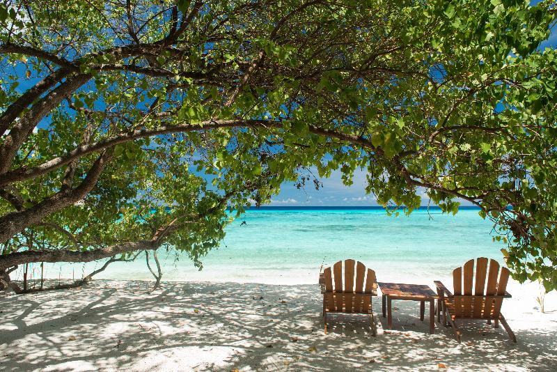 Summer Island Maldives - Plaj