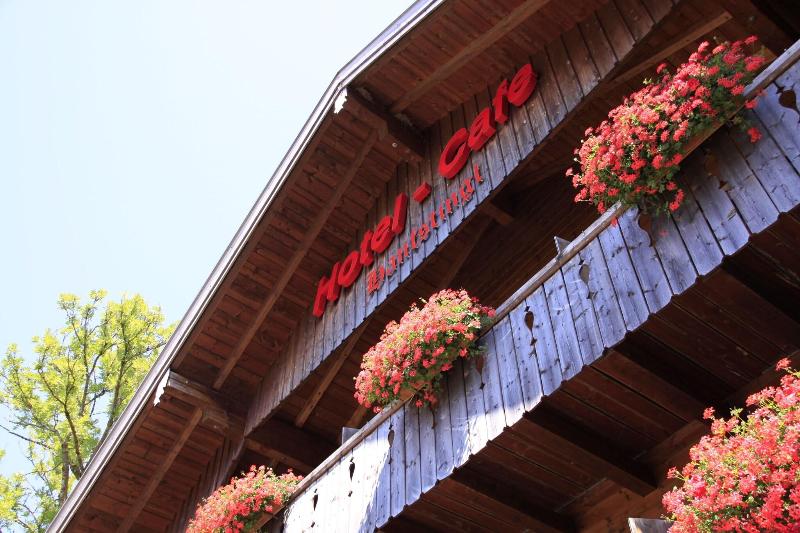Hotel-Cafe Hanfstingl - Genel