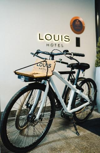 Louis fotoÄŸrafÄ±