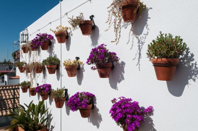 Murillo - Teras