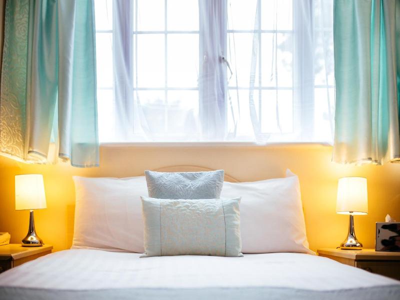 Pymgate Lodge Hotel - Genel