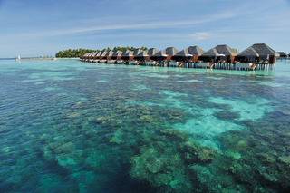 Ayada Maldives fotoÄŸrafÄ±