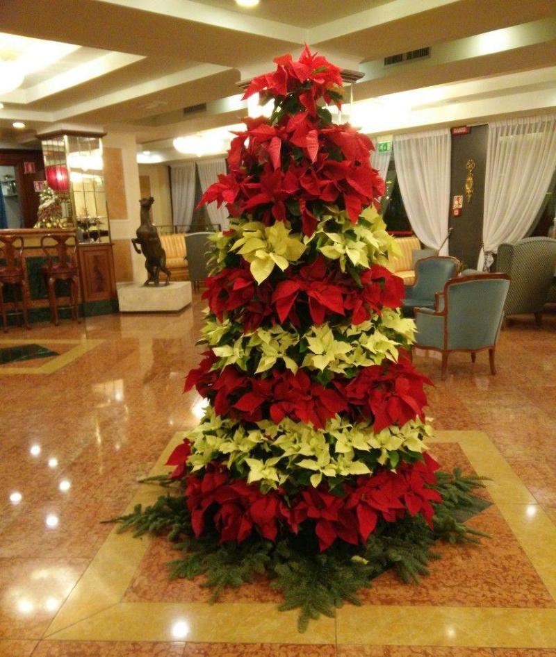 Santa Barbara - Genel