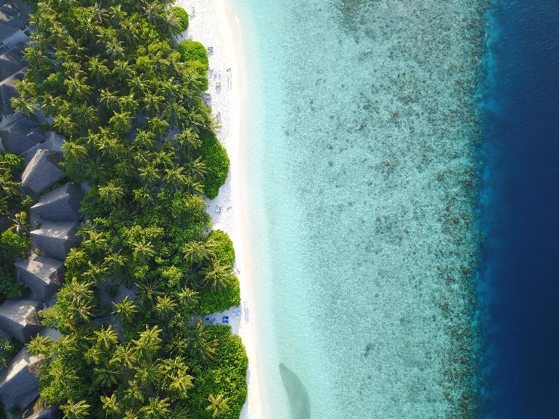 Fihalhohi Maldives - Plaj