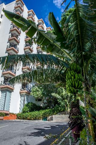 Mimosa Studio Hotel fotoÄŸrafÄ±
