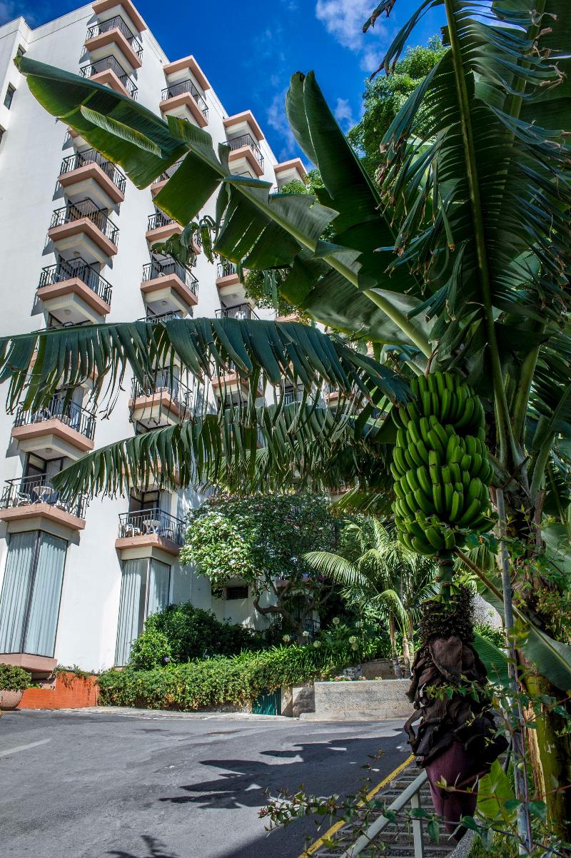 Mimosa Studio Hotel - Genel