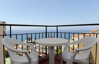Mimosa Studio Hotel fotoÄŸrafÄ±