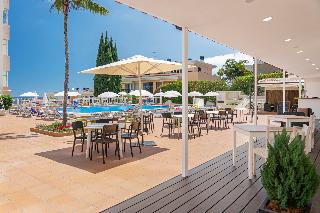 Mimosa Studio Hotel fotoÄŸrafÄ±