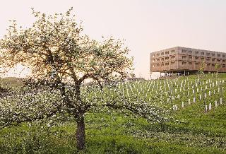 LOISIUM Wine & Spa Resort Südsteiermark fotoÄŸrafÄ±