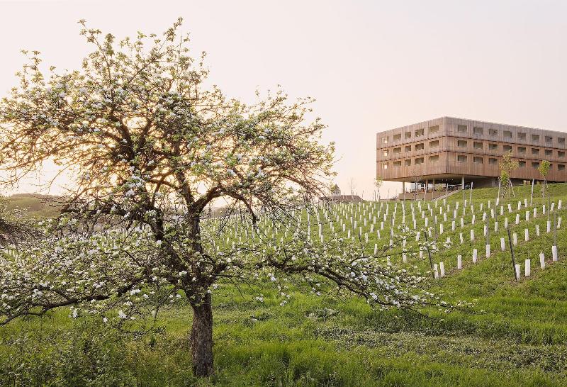 LOISIUM Wine & Spa Resort Südsteiermark - Genel