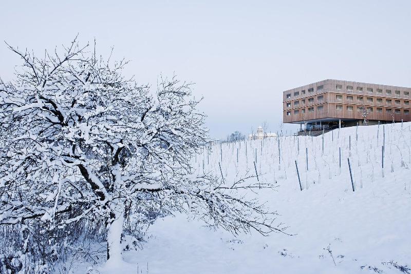 LOISIUM Wine & Spa Resort Südsteiermark - Genel