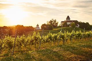 LOISIUM Wine & Spa Resort Südsteiermark fotoÄŸrafÄ±