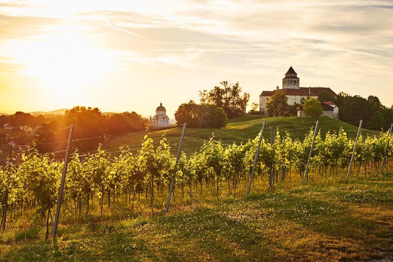 LOISIUM Wine & Spa Resort Südsteiermark - Genel