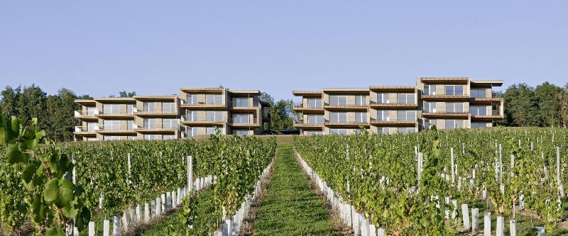 LOISIUM Wine & Spa Resort Südsteiermark - Genel