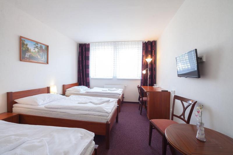 Interhotel Bohemia - Oda