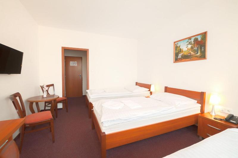 Interhotel Bohemia - Oda