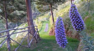 Jardim Atlantico fotoÄŸrafÄ±