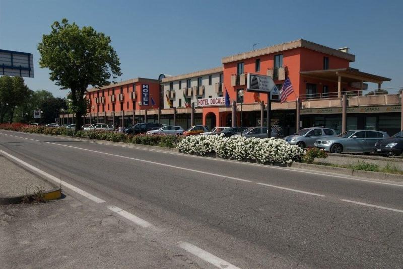 Ducale - Genel