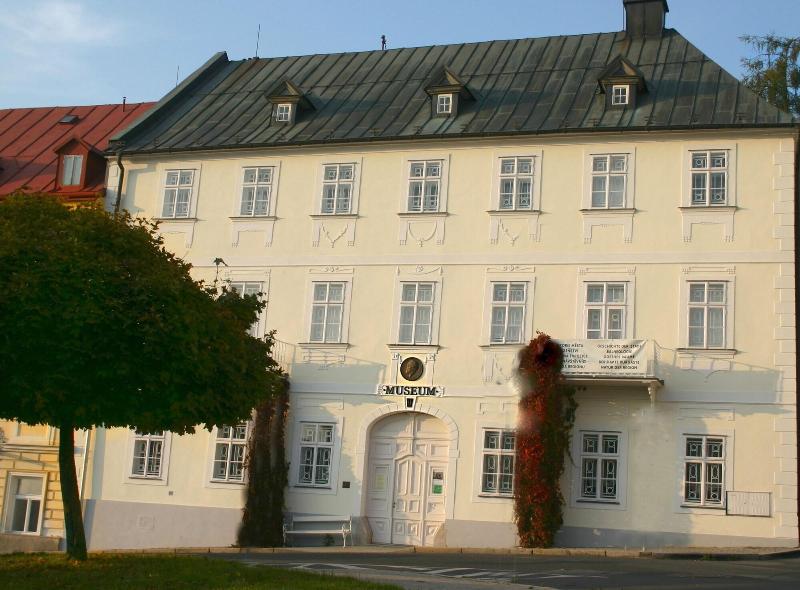 Gourmet Hotel VILLA PATRIOT - Genel