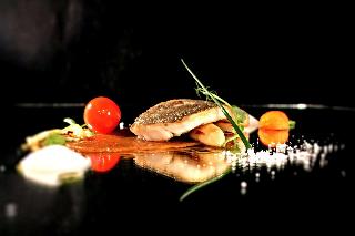 Gourmet Hotel VILLA PATRIOT fotoÄŸrafÄ±