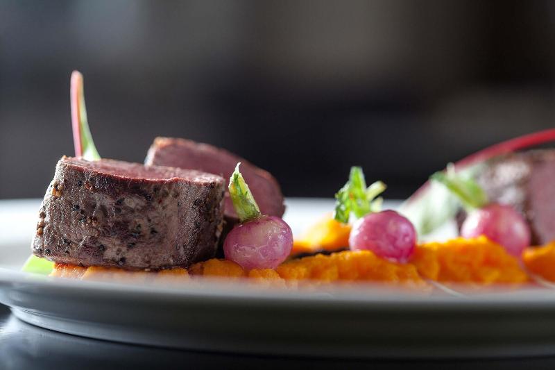 Gourmet Hotel VILLA PATRIOT - Restoran