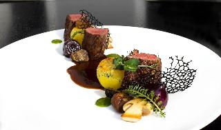 Gourmet Hotel VILLA PATRIOT fotoÄŸrafÄ±