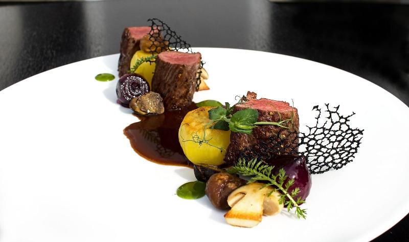 Gourmet Hotel VILLA PATRIOT - Restoran