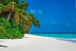 Stingray Beach Inn fotoÄŸrafÄ±