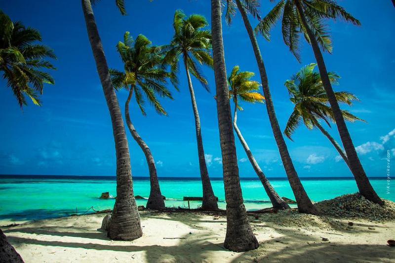 Stingray Beach Inn - Plaj