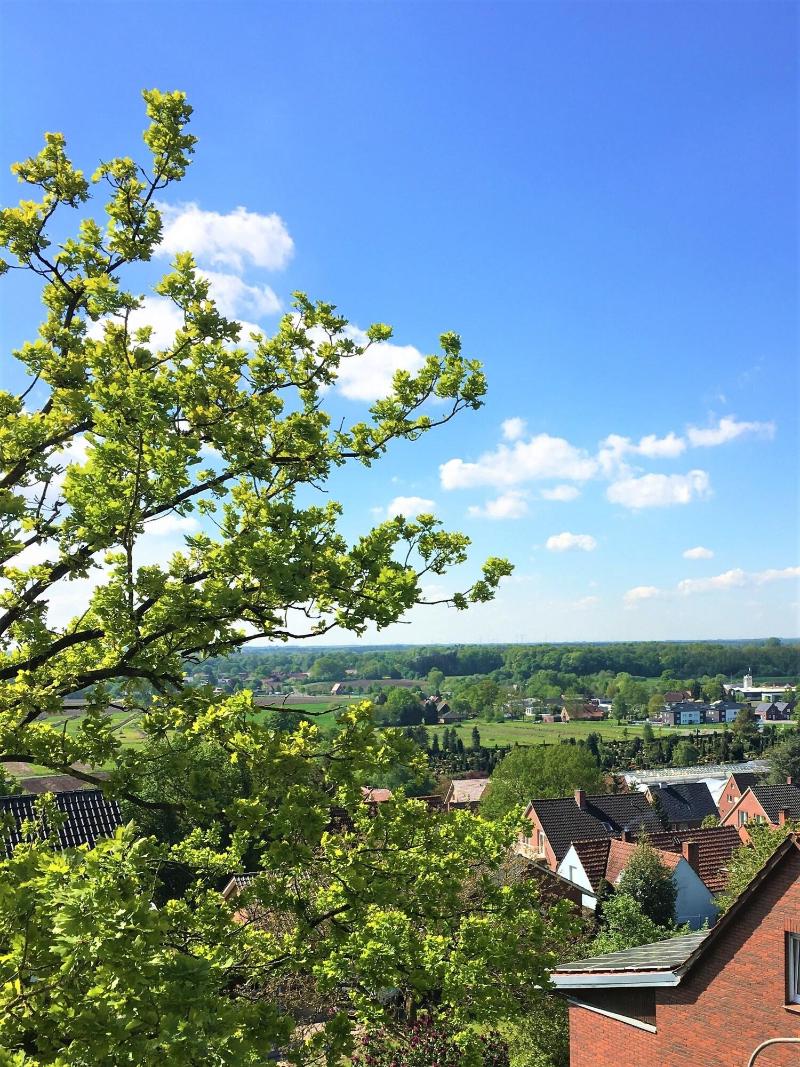 Am Berghang - Genel