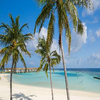 OUTRIGGER Maldives Maafushivaru Resort fotoÄŸrafÄ±