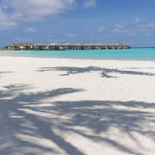 OUTRIGGER Maldives Maafushivaru Resort fotoÄŸrafÄ±