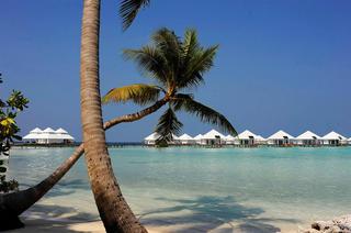 Diamonds Athuruga Beach & Water Villas fotoÄŸrafÄ±