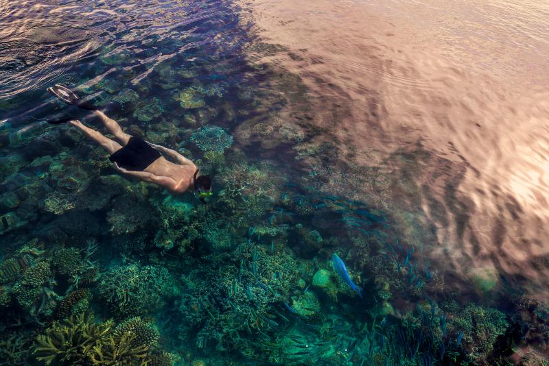 Four Seasons Resort Maldives at Landaa Giraavaru - Aktivite