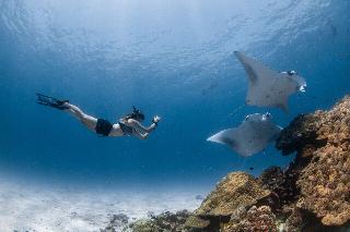 Four Seasons Resort Maldives at Landaa Giraavaru fotoÄŸrafÄ±