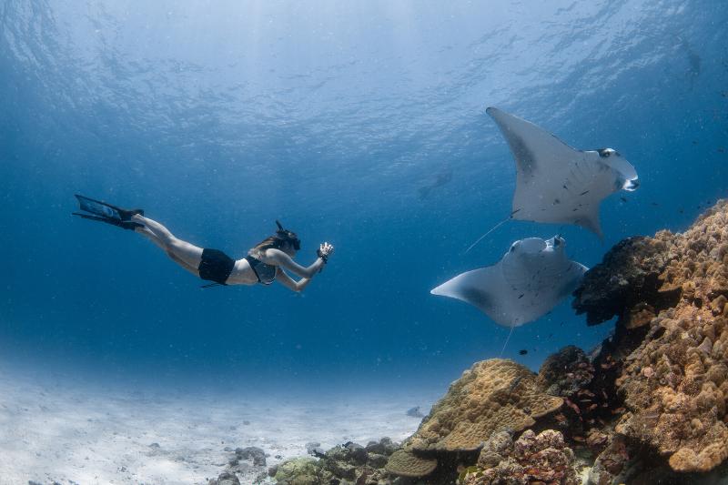 Four Seasons Resort Maldives at Landaa Giraavaru - Aktivite
