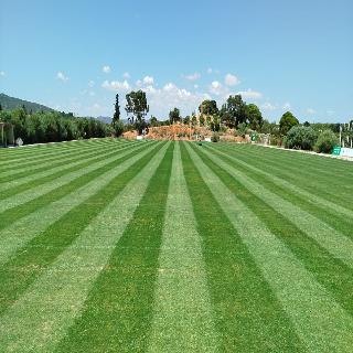 Colina Verde Resort fotoÄŸrafÄ±