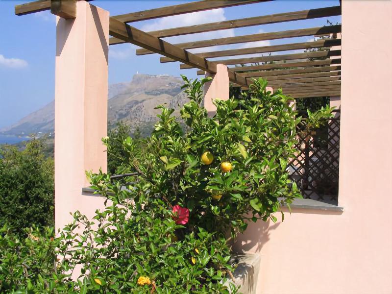 Hotel Martino - Genel